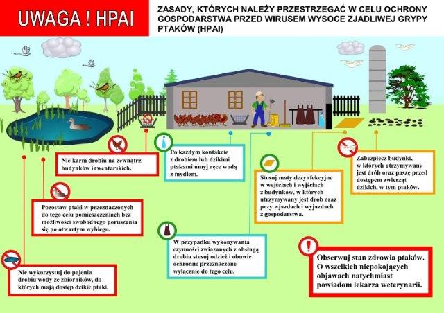 Ulotka informująca o zasadach ochrony gospodarstwa przed wirusem HPAI