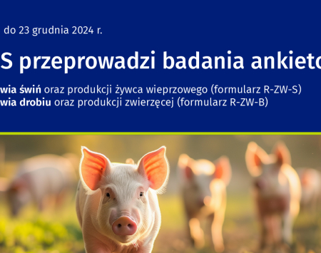 Badanie pogłowia drobiu oraz produkcji zwierzęcej (R-ZW-B) i Badanie pogłowia świń oraz produkcji żywca wieprzowego (R-ZW-S)