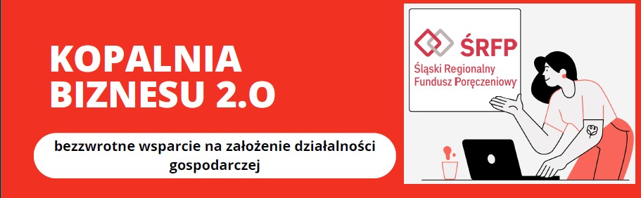 Kopalnia Biznesu 2.0 - Podstawowe informacje